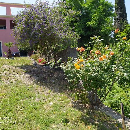 Corfu Villa Galini Potamos  Exterior photo
