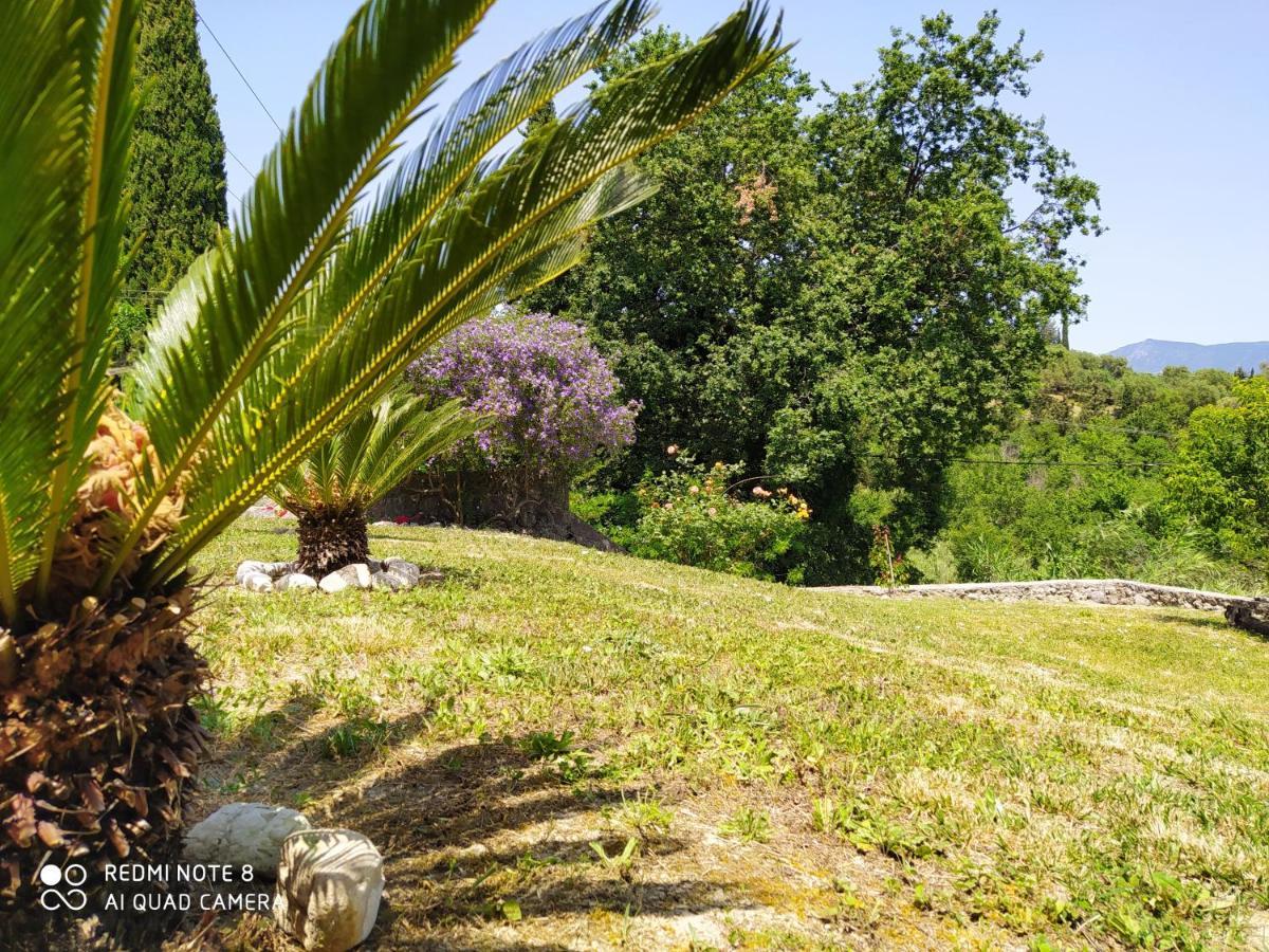 Corfu Villa Galini Potamos  Exterior photo